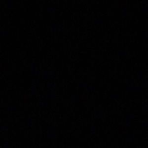 Meet your Posher, Precious